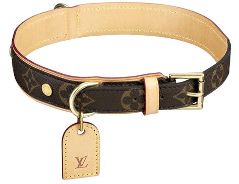 louis vuitton dog collar small replica|louis vuitton dog collar sizes.